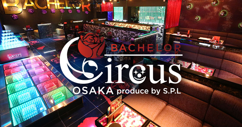 BACHELOR Circus