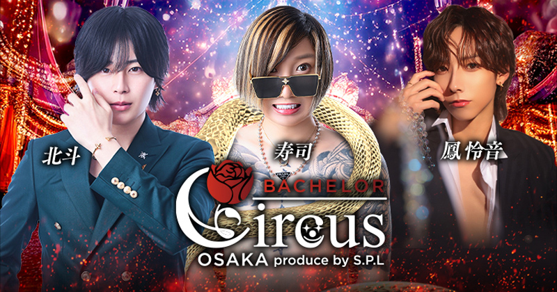 BACHELOR Circus